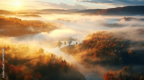 An aerial view of the forest with the sun behind the mist all around, colored autumnal trees in the morning light. © ND STOCK