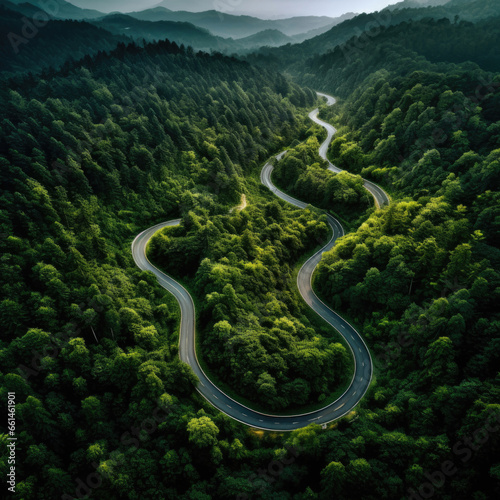 Adventure morning road in the forest, aerial view on deep jungle road.