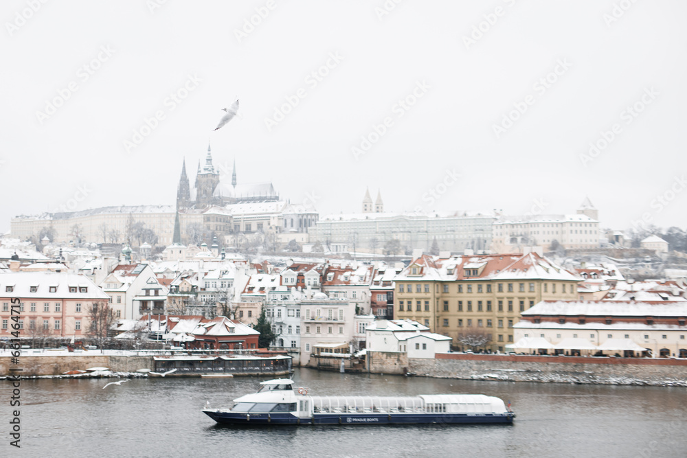 Prague historical beautiful Landmarks in Pictures in winter time with seagull
