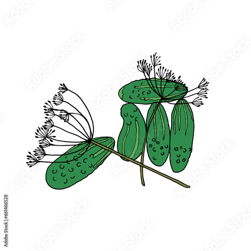 Set of cucumbers and dill drawn in doodle style. Vector sketch EPS 10.