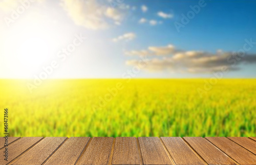 Wooden table top on blur rice field background in daytime.Harvest rice or whole wheat.For montage product display or design key visual layout.View of copy space.