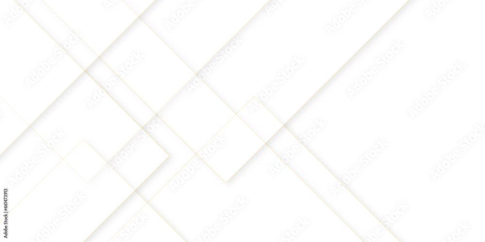 Grey white abstract stripe background business concept geometric lines, Abstract white background,geometric background with white abstract various shapes.
