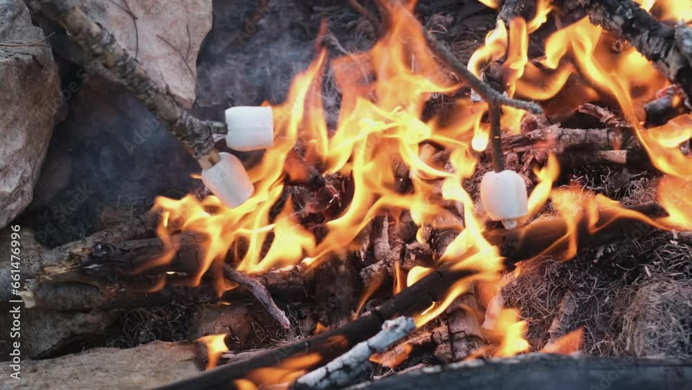 roasting marshmallows on sticks at bonfire. Children having fun at camp fire. roasting marshmallows on sticks at bonfire. Children having fun at camp fire.
