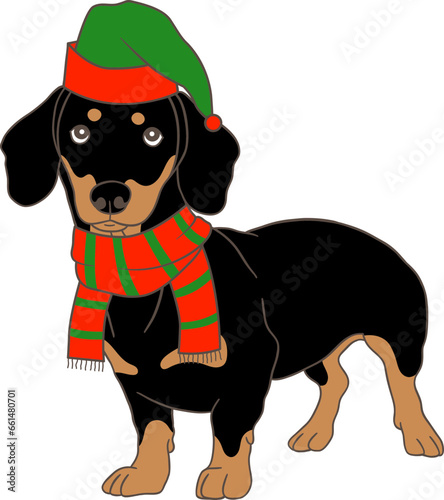 Christmas dachshund dog