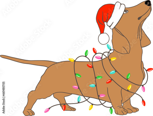 Christmas dachshund dog