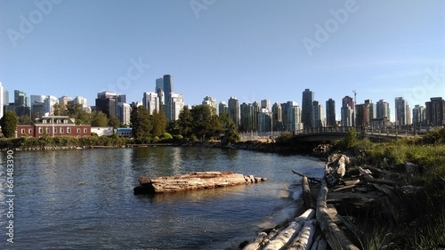 Serene Lake with Log and City Skyline (Vancouver, Canada)