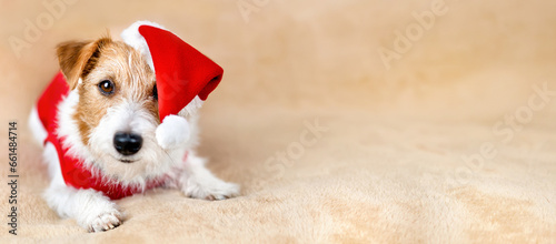 Happy christmas surprise santa dog puppy, new year holiday greeting card background or banner with copy space.