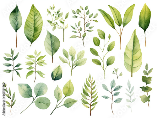 緑の葉 水彩イラストセット © ヨーグル