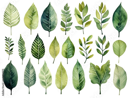 緑の葉　水彩イラストセット