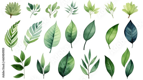 緑の葉 水彩イラストセット