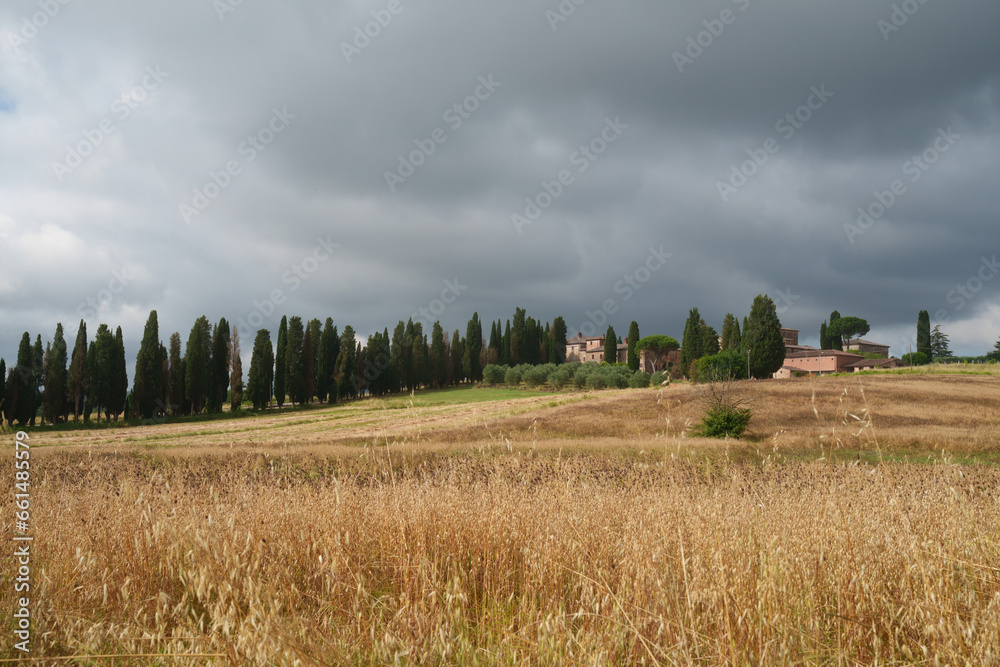 Fototapeta premium Country landscape near Sinalunga, Tuscany