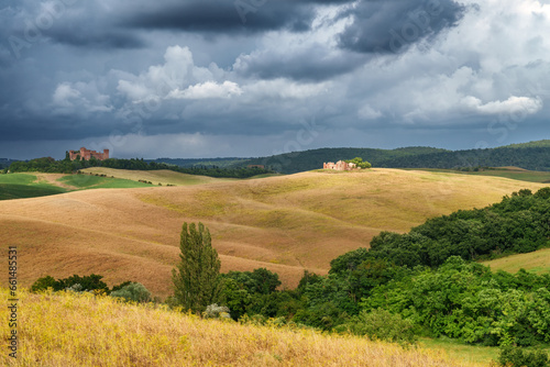 Rural landscape in Val d Orcia  Tuscany  at summer