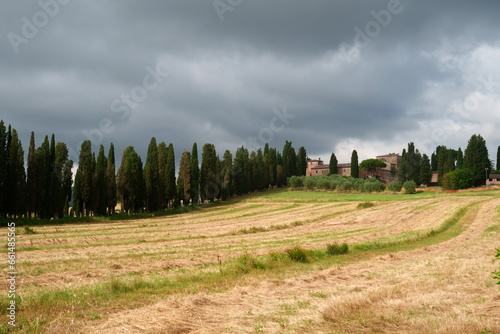 Country landscape near Sinalunga, Tuscany