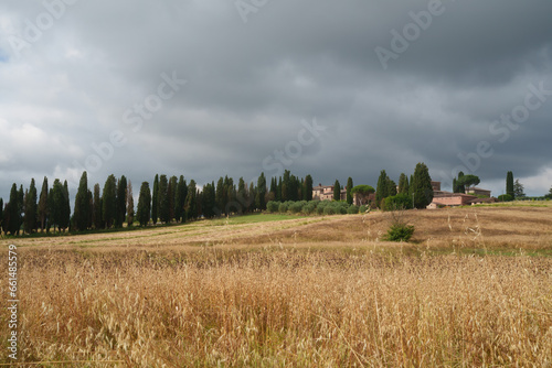 Country landscape near Sinalunga  Tuscany
