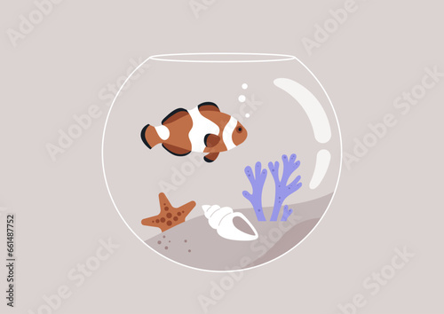 A circular fish tank filled with coral and seashells, and a clownfish gracefully swimming within