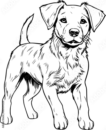 Dog Hand Drawn Realistic Detailed Coloring Book Animal Illustrations