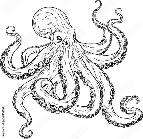 Octopus Hand Drawn Realistic Detailed Coloring Book Animal Illustrations