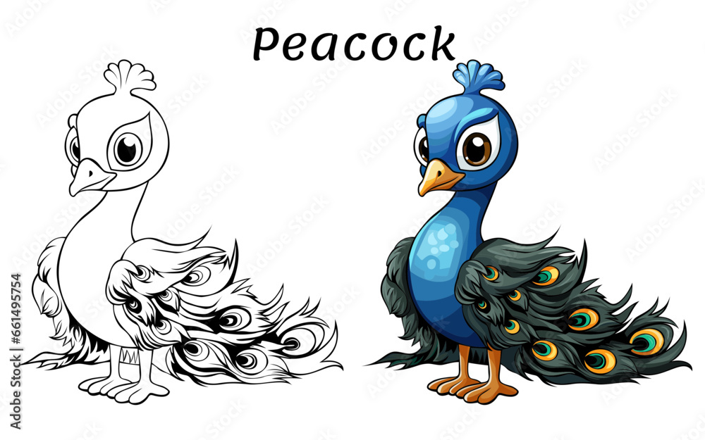 Peacock Cute Animal Coloring Book Hand Drawn Illustration for kids
