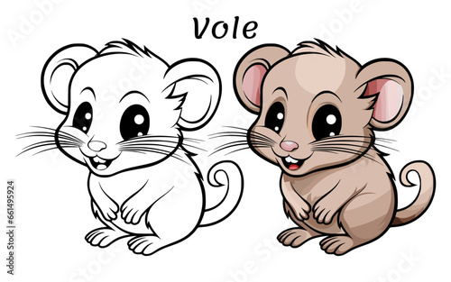 Vole Cute Animal Coloring Book Hand Drawn Illustration for kids