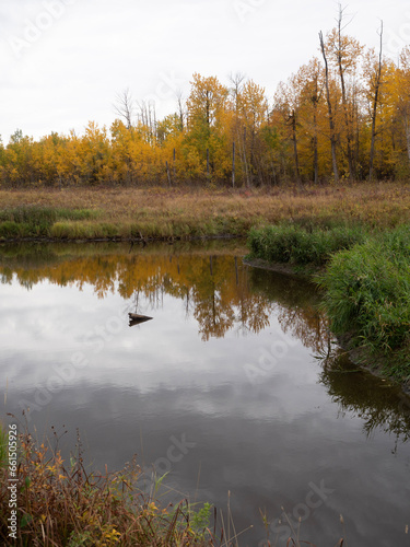 Wallpaper Mural lake in autumn Torontodigital.ca