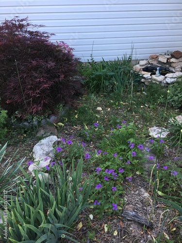 A small flower garden with purple flowers