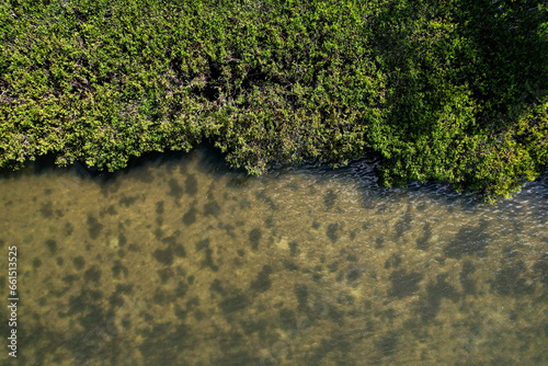 Drone photography of a living shoreline, a natural environment, by aerial photographer