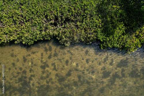 Drone photography of a living shoreline, a natural environment, by aerial photographer Anita Denunzio photo
