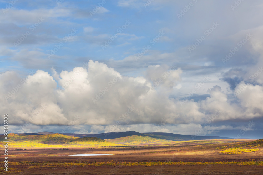 Fototapeta premium Autumn in polar tundra