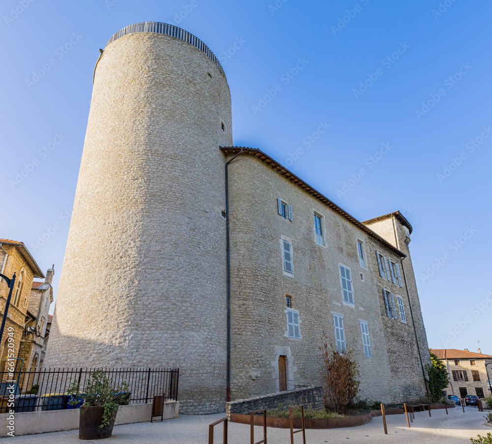 Le Château des Tour à Anse