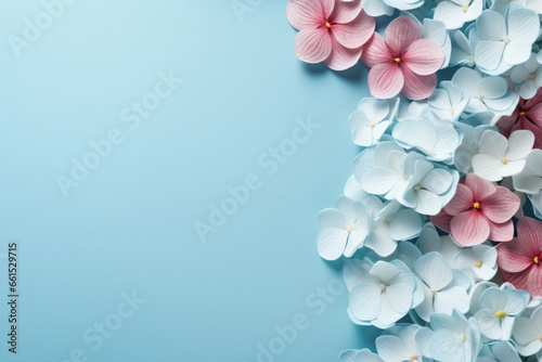 Small spring flowers on the blue background with copy space  flat lay