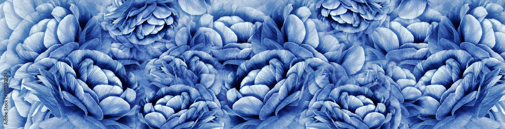 Fototapeta premium Floral spring background. Petals flowers. Close-up. Nature.