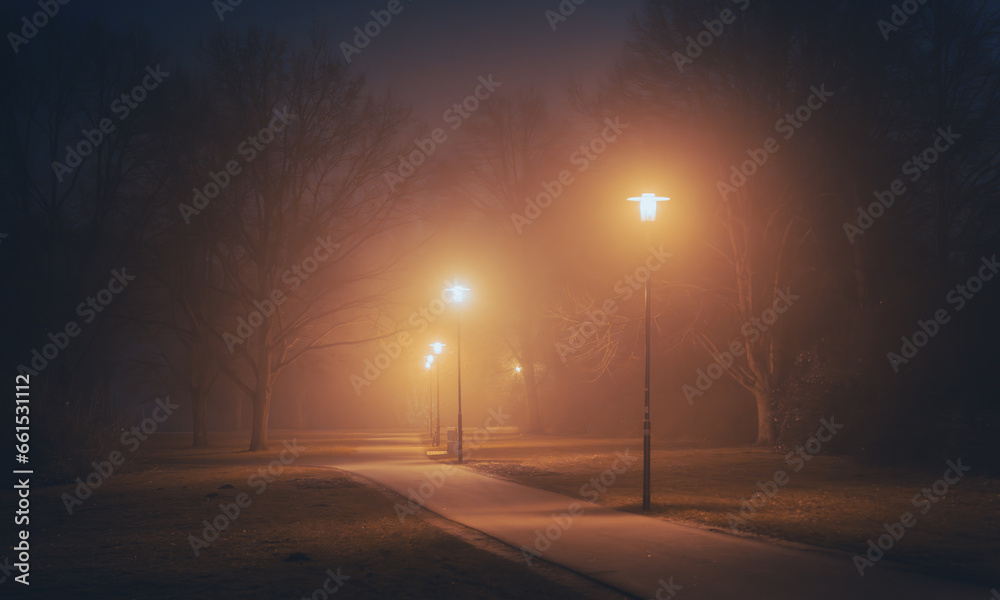 Orange streetlights in a foggy night in the park
