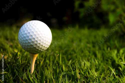 white golf ball on dark background.