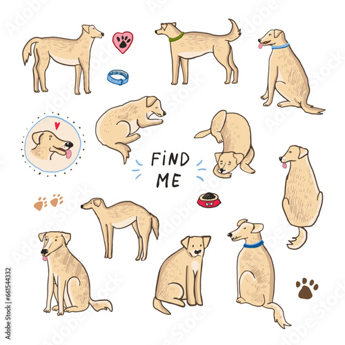 Funny dog adopt vector illustrations set.