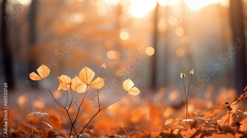 fall leaves in the forest by sunlight © olegganko