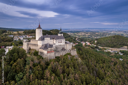 The medieval Forchtenstein Castle on the hilltop, surrounded by dense forest in Burgenland, Austria.