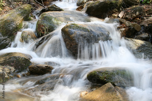 A tranquil stream cascades gracefully and flows over moss-covered rocks in a serene forest.