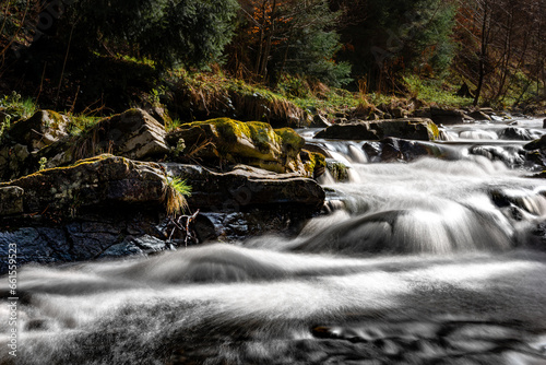 Fototapeta Naklejka Na Ścianę i Meble -  spieniona woda górskiego potoku w Beskidach w Polsce