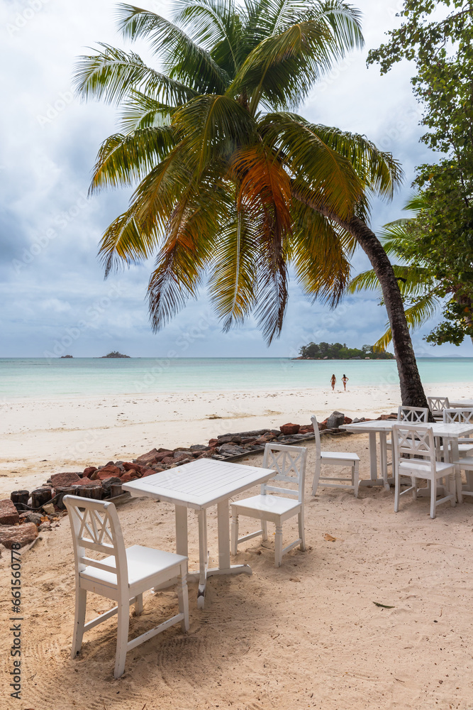 Seaside view with white wooden tables and chairs under coconut palm trees