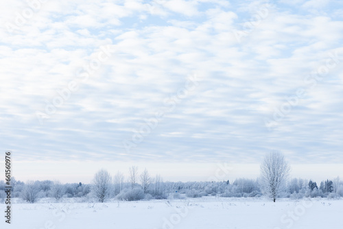 Rural winter landscape with snowy field and bare trees under cloudy blue sky