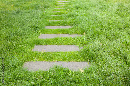 camino en un jardín con losas  que atraviesan un campo de césped verde
