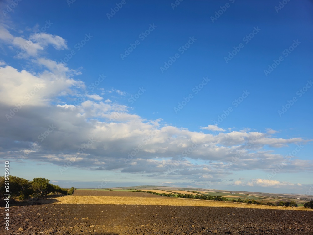 A field with trees and blue sky A field with trees and blue sky