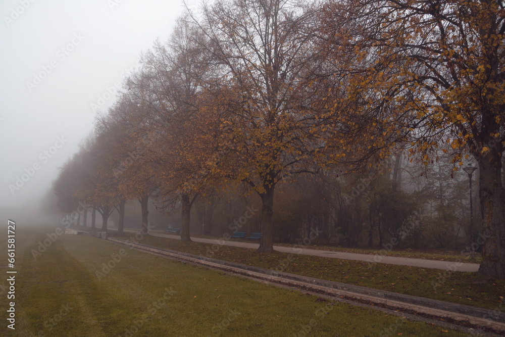  Autumn Foggy Ingolstadt, Park_ Beautiful Trees