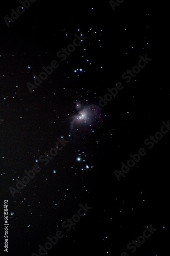 Orion Nebula 