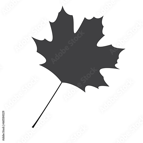 Black maple Leaf