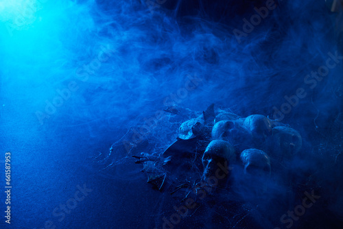 Halloween human skulls in abstract smoke on black background.