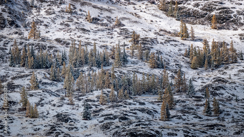 Gorny Altai in autumn, Russia September