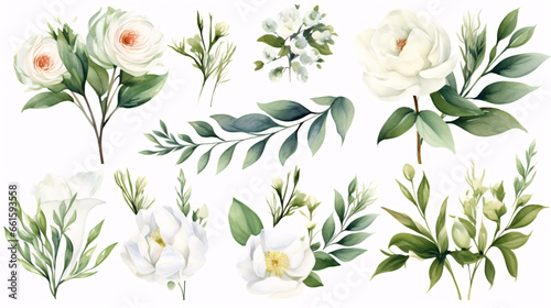 Combination of white blooms and verdant foliage, detailed watercolor and individual components, constituting a set of floral illustrations.