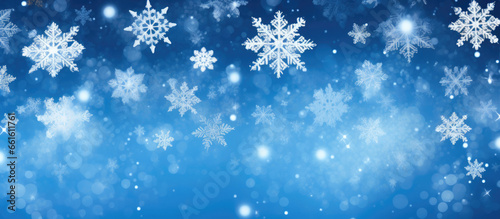 Elegant Snowflakes Drift in a Cold Winter Sky