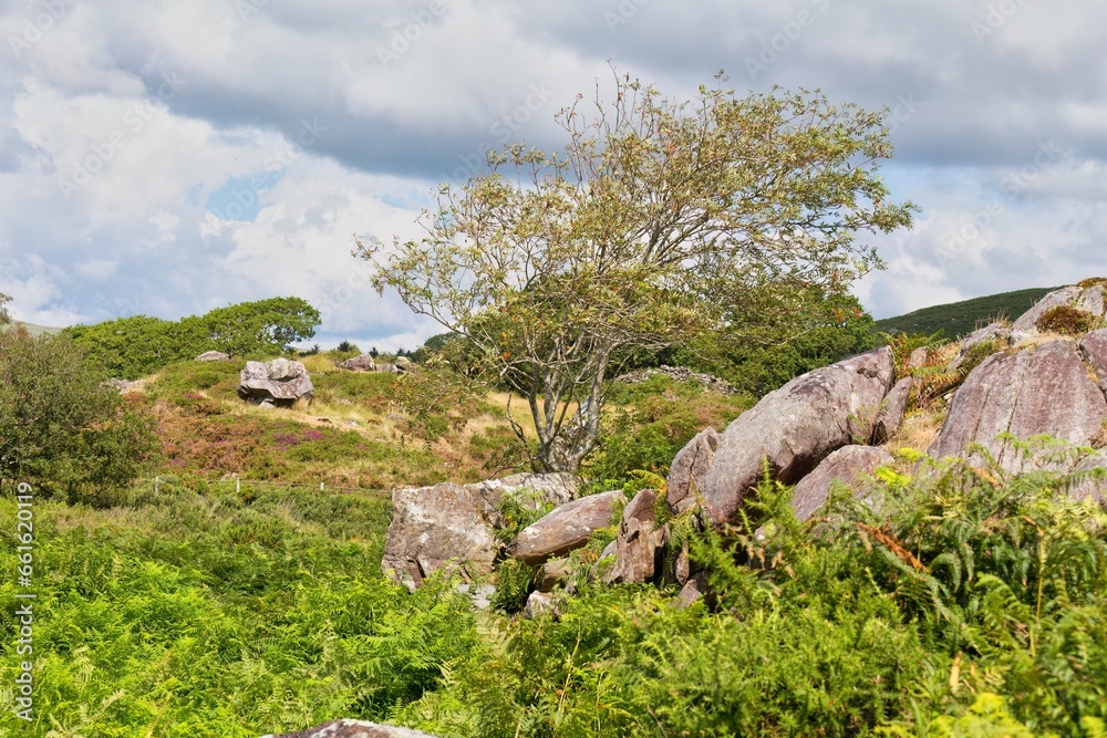 landscape with sky and rocks and tree landscape with sky and rocks and tree